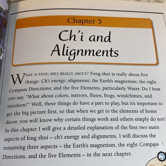 GUIDE to FENG SHUI - KISS -KEEP IT SIMPLE SERIES Stephen Skinner Heavy P… - Picture 7 of 11